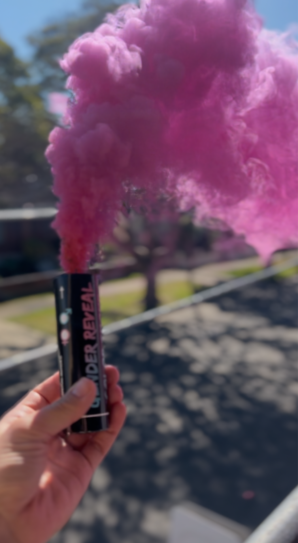 Twin Double Pack Gender Reveal Smoke Emitter Pull String Smoke Bomb Pink or Blue Outdoor Party Decoration