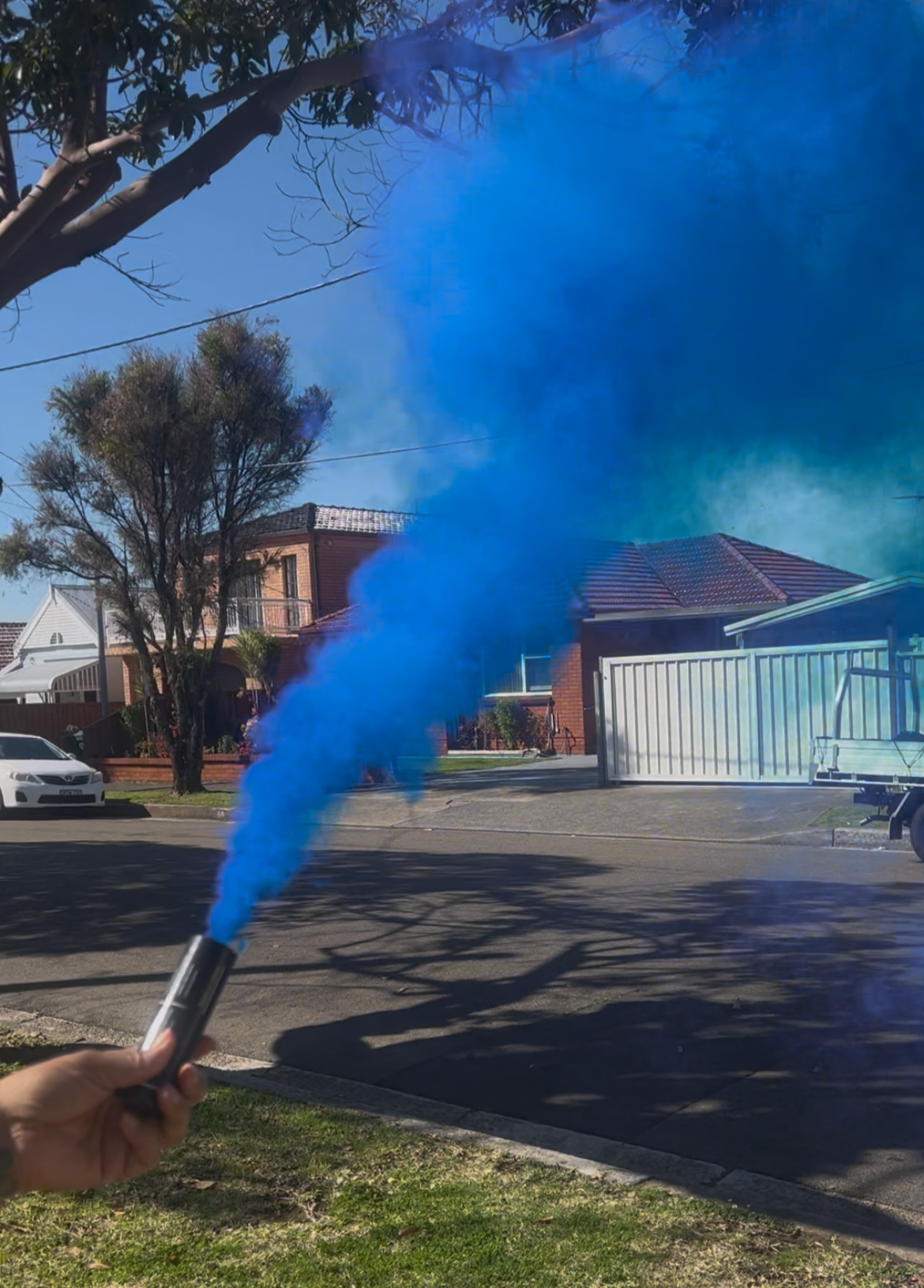 Twin Double Pack Gender Reveal Smoke Emitter Pull String Smoke Bomb Pink or Blue Outdoor Party Decoration