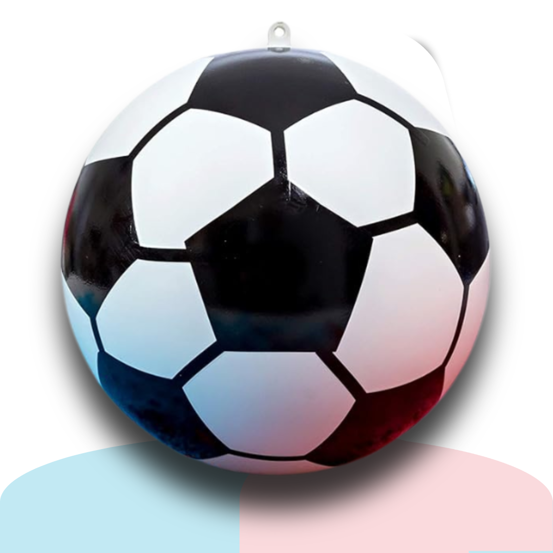 Gender Reveal Soccer Ball – Holi Powder Smoke Ball – Pink or Blue – Interactive Baby Gender Reveal Idea