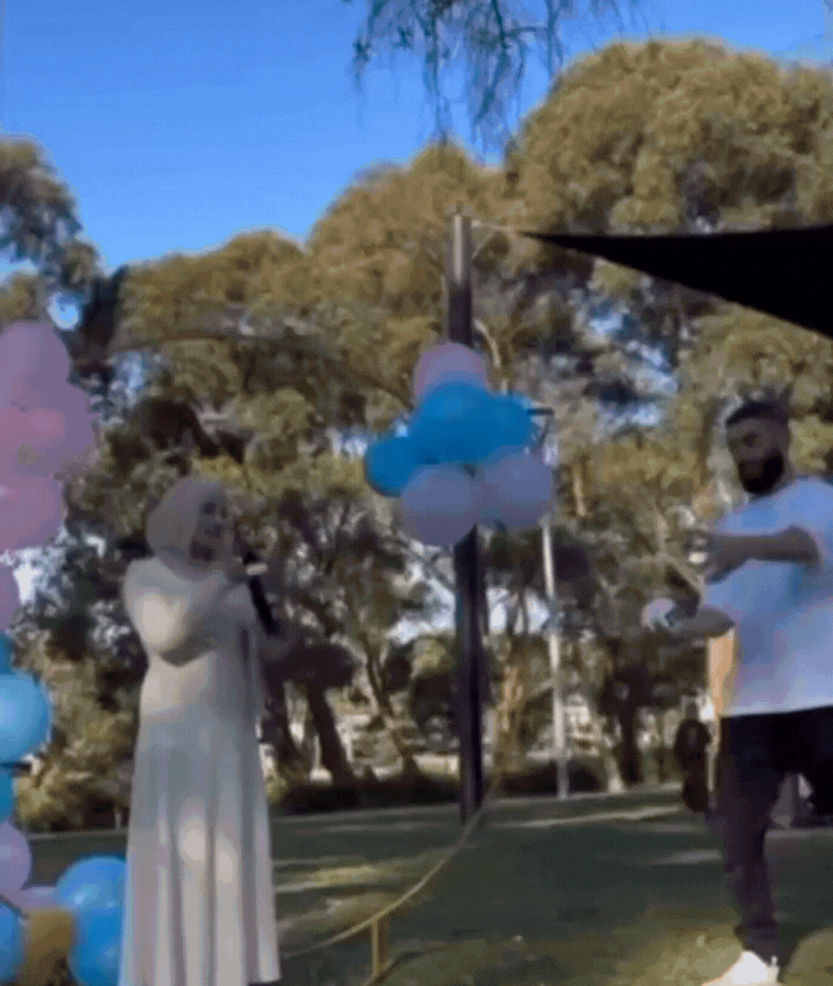 Gender Reveal Fire Extinguisher Jet Blaster – 300g Explosive Powder for Boy or Girl Announcement | Pink & Blue Gender Reveal Ideas