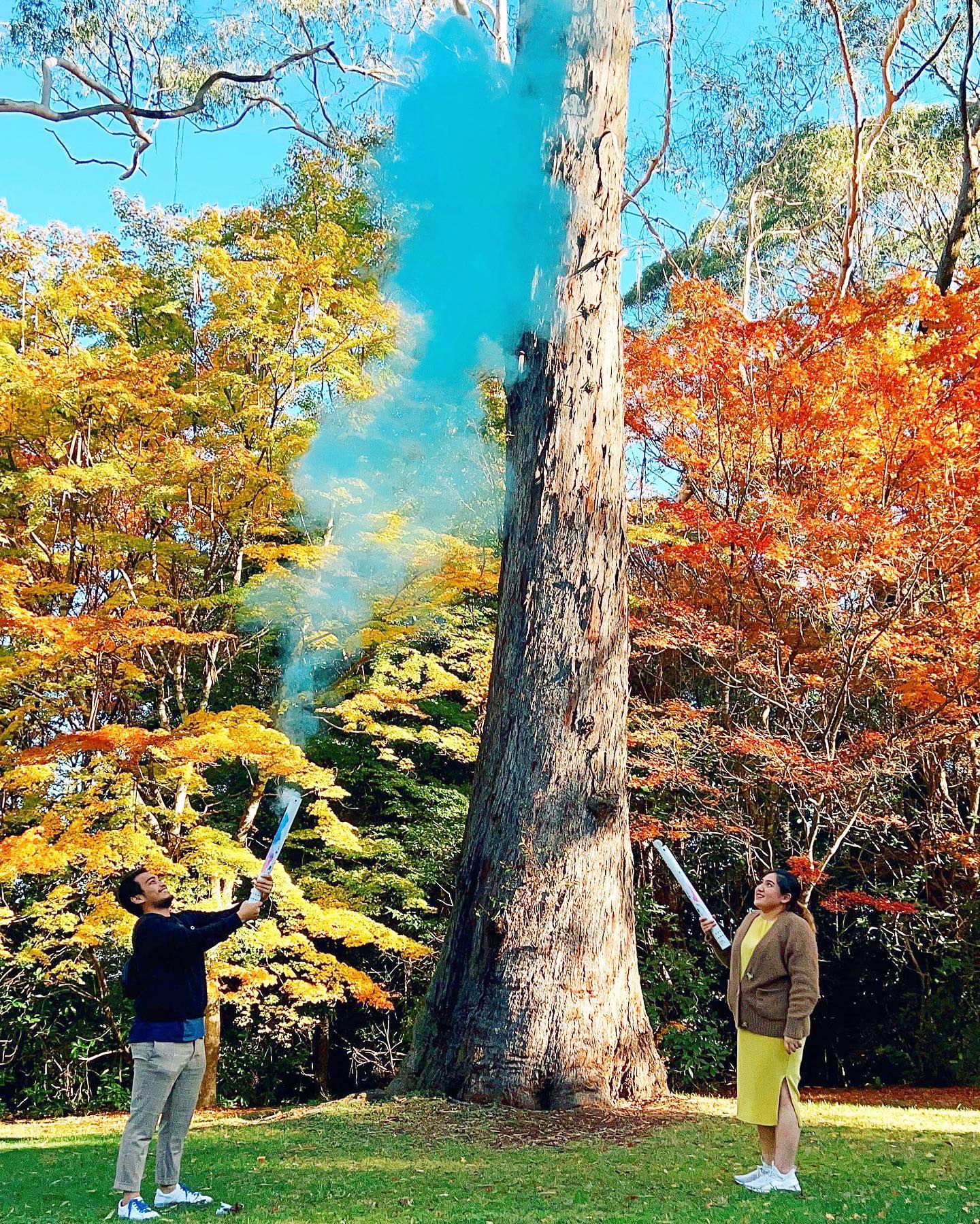 confetti cannon gender reveal confetti cannon confetti cannon Australia confetti cannon handheld handheld confetti cannon Sydney Confetti cannon gender reveal confetti pink gender reveal cannon blue gender reveal cannon baby shower gender reveal party Powder cannon holi powder cannon gender reveal cannon gender reveal powder cannon Australia gender reveal powder cannon