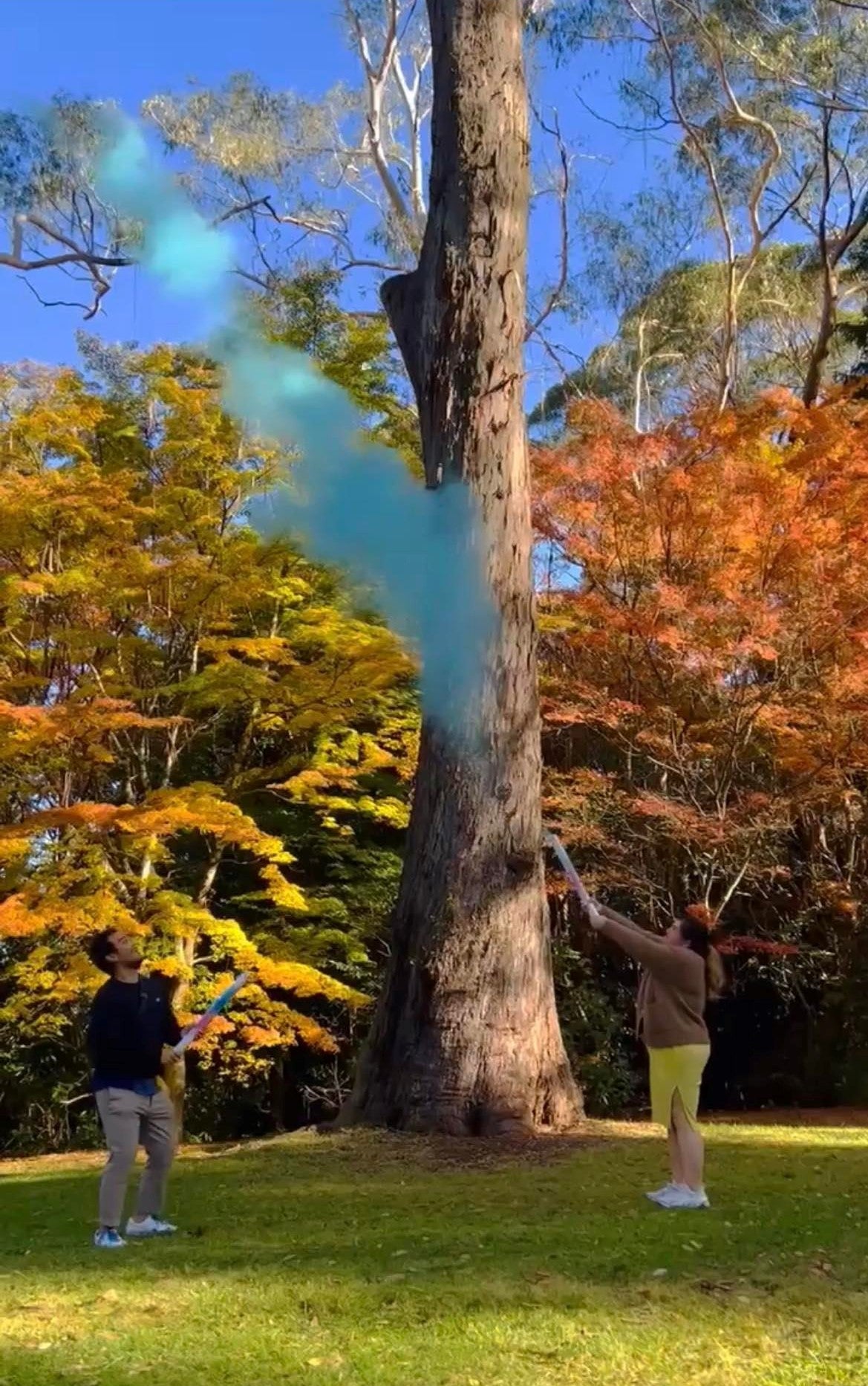 confetti cannon gender reveal confetti cannon confetti cannon Australia confetti cannon handheld handheld confetti cannon Sydney Confetti cannon gender reveal confetti pink gender reveal cannon blue gender reveal cannon baby shower gender reveal party Powder cannon holi powder cannon gender reveal cannon gender reveal powder cannon Australia gender reveal powder cannon