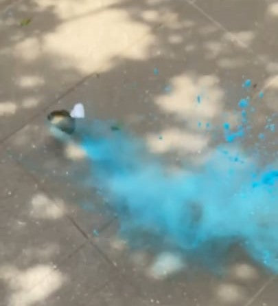 Gender reveal idea golden snitch harry potter ball smoke powder pink powder blue powder novelty gender reveal