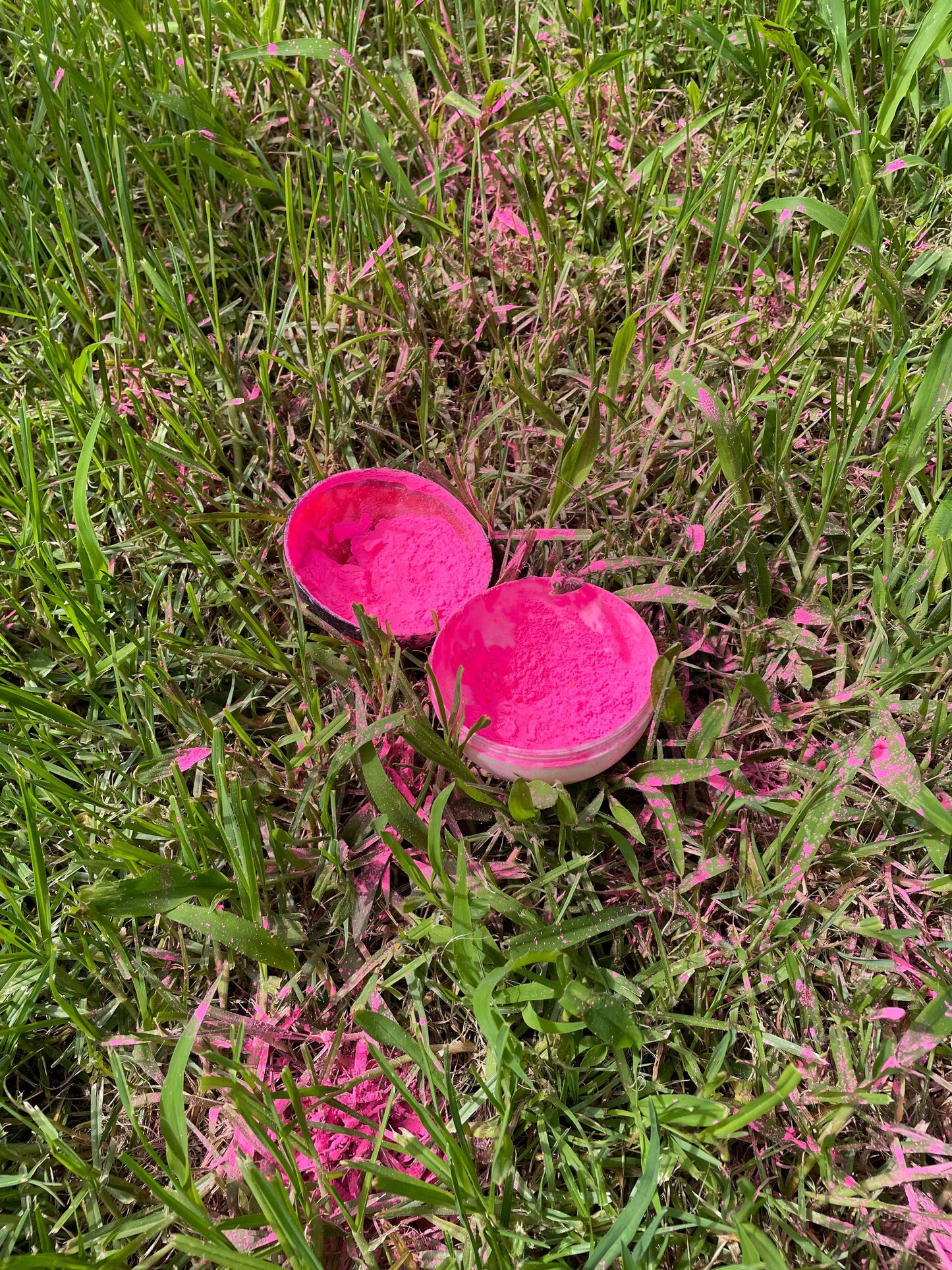 Pokéball Gender Reveal – Pokémon-Inspired Baby Gender Reveal Ball | Blue or Pink Surprise for Boy or Girl | Novelty Party Prop & Anime-Themed Reveal Idea