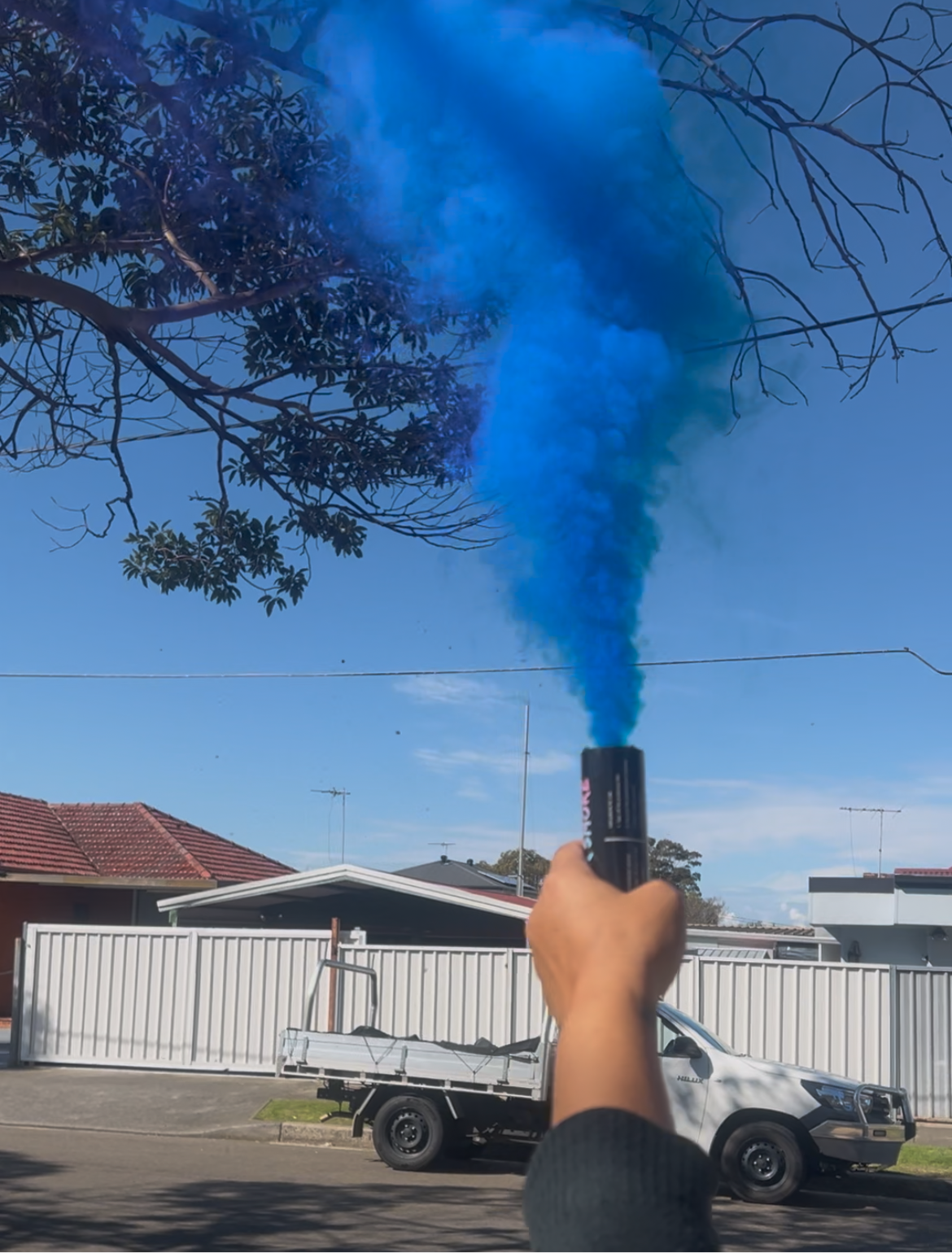 Twin Double Pack Gender Reveal Smoke Emitter Pull String Smoke Bomb Pink or Blue Outdoor Party Decoration
