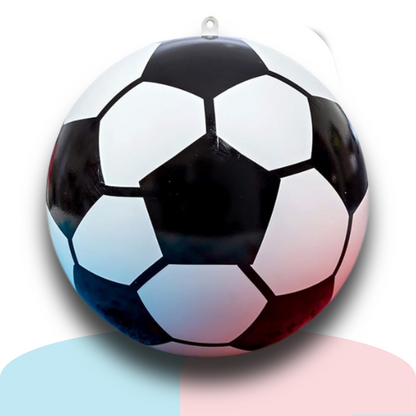 Gender Reveal Soccer Ball – Holi Powder Smoke Ball – Pink or Blue – Interactive Baby Gender Reveal Idea