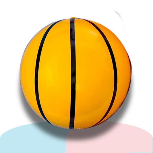Basketball & Netball Gender Reveal Explosive Powder Ball – Pink or Blue – Interactive Baby Gender Reveal Idea