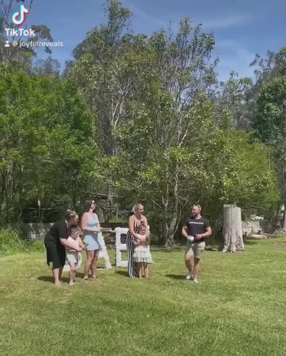 gender reveal AFL foot australian football league he or she baby shower boy or girl powder smoke explosion it's a boy girl 