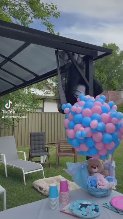 AFL Gender Reveal Footy Ball – “It’s a Girl” Pink Powder Smoke with Interactive Reveal (Assembly Required)