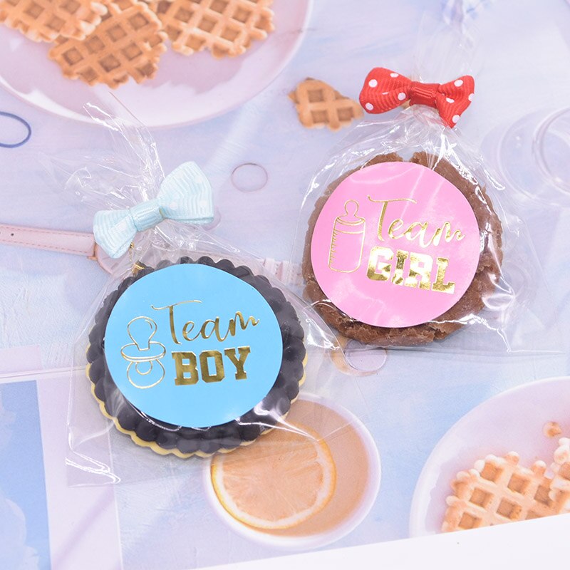 Gender Reveal Stickers Game – Team Boy or Girl? 24 Party Stickers for Baby Shower & Gender Reveal